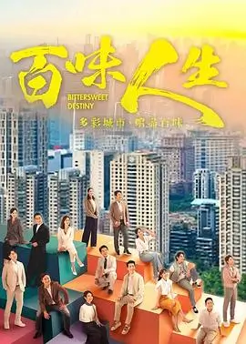 雾港纪事 最新电视剧全集免费看
